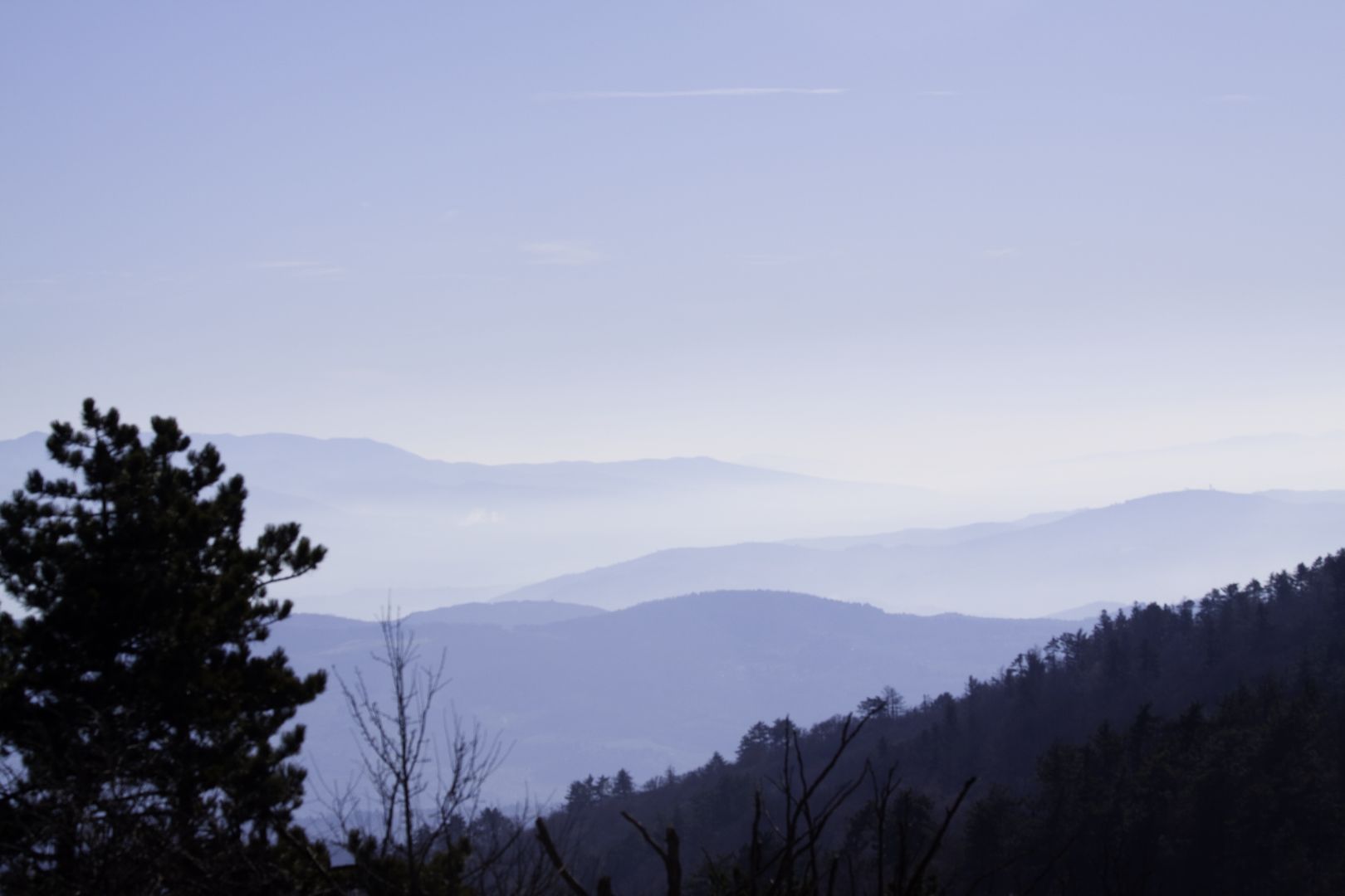 Monte Morello, panorama dalla Terza Punta, direzione Vaglia