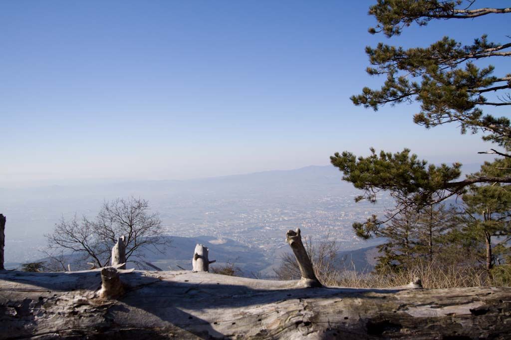 Terza Punta di Monte Morello, panorama verso Sesto Fiorentino